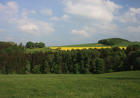 Felder, Wiesen und Wälder oberhalb Naundorfs